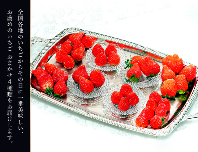 おまかせ4種食べ比べ