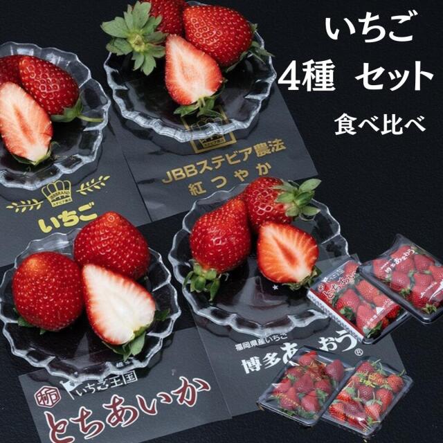 おまかせ4種食べ比べ