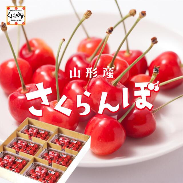 佐藤錦180
