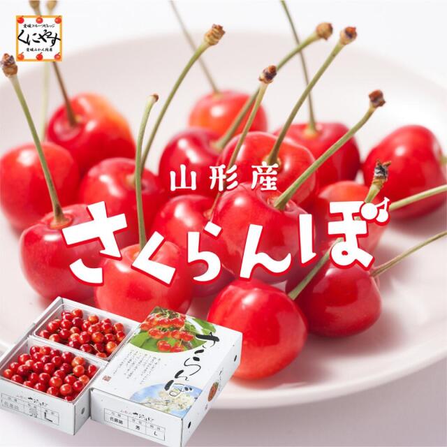 佐藤錦500