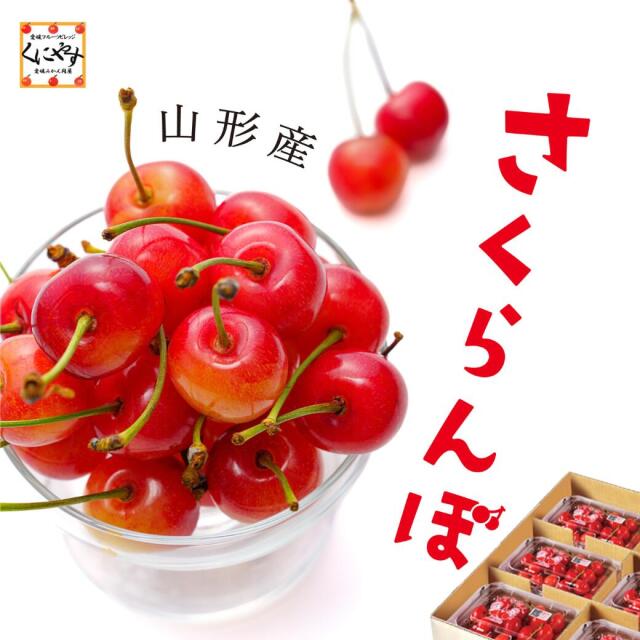 【着後レビューで 送料無料】 山形の旬のさくらんぼを品種おまかせで産地直送！ その他