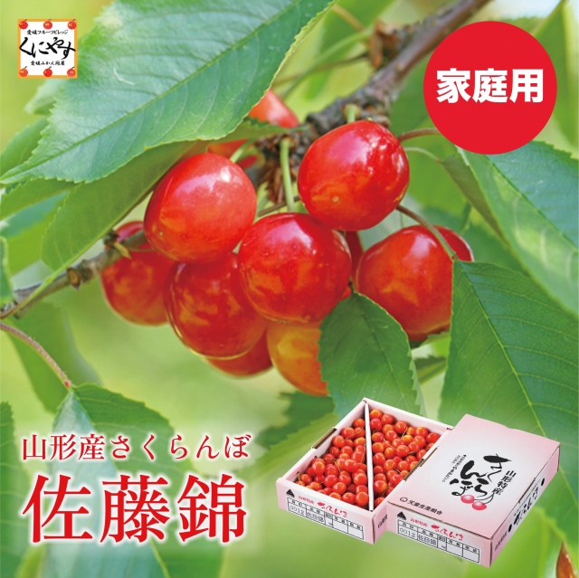 佐藤錦1kg