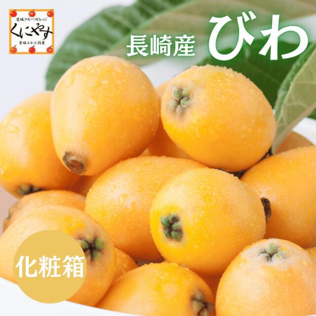 長崎産びわ