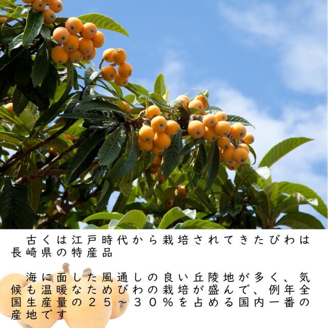 長崎産びわ