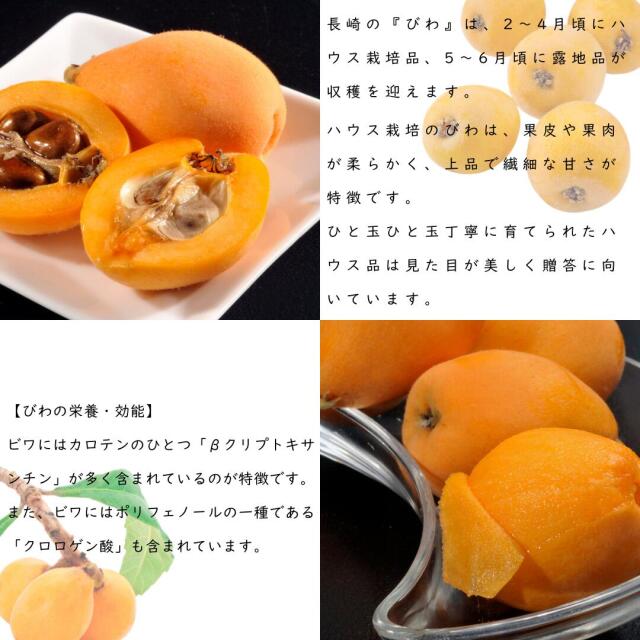 長崎産びわ