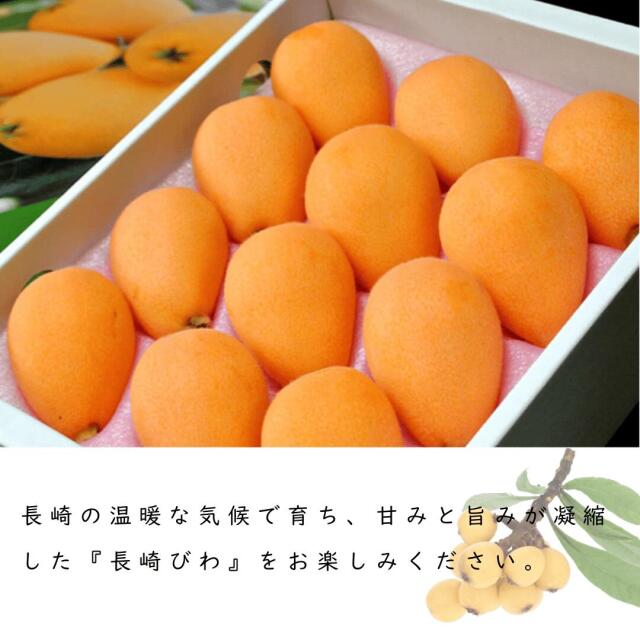 長崎産びわ