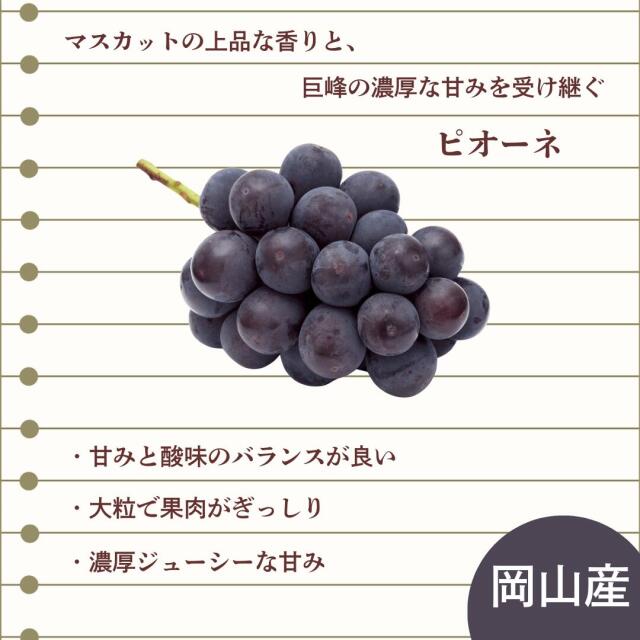 岡山産ピオーネ・シャイン