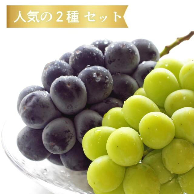 岡山産ピオーネ・シャイン