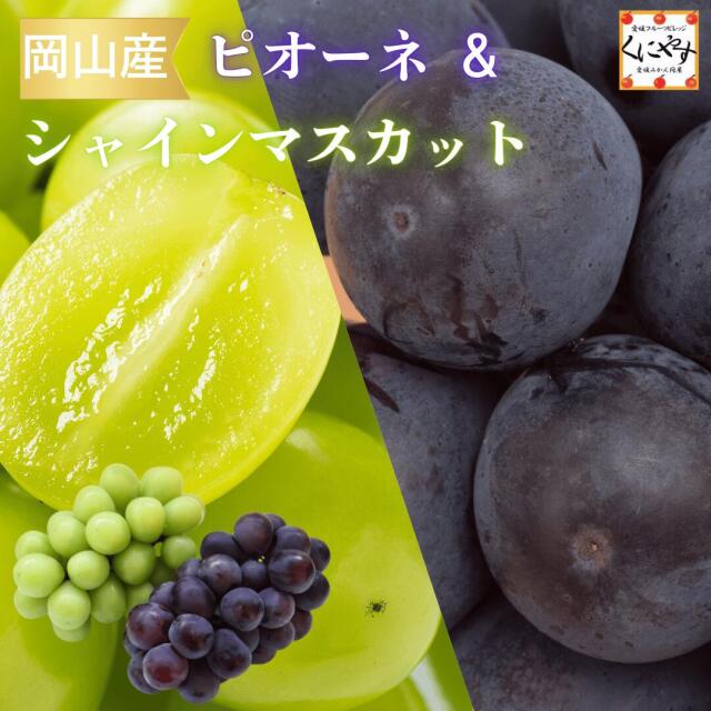岡山産ピオーネ・シャイン