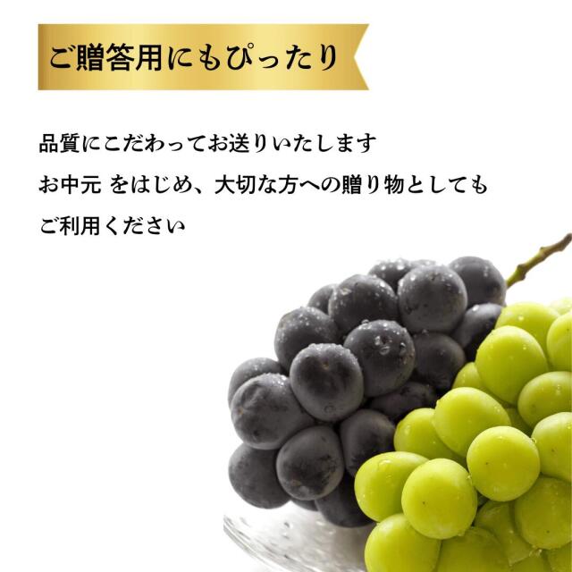 岡山産ピオーネ・シャイン