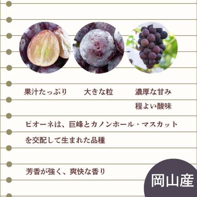 岡山産ピオーネ