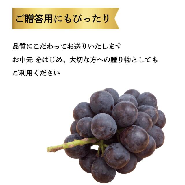 岡山産ピオーネ