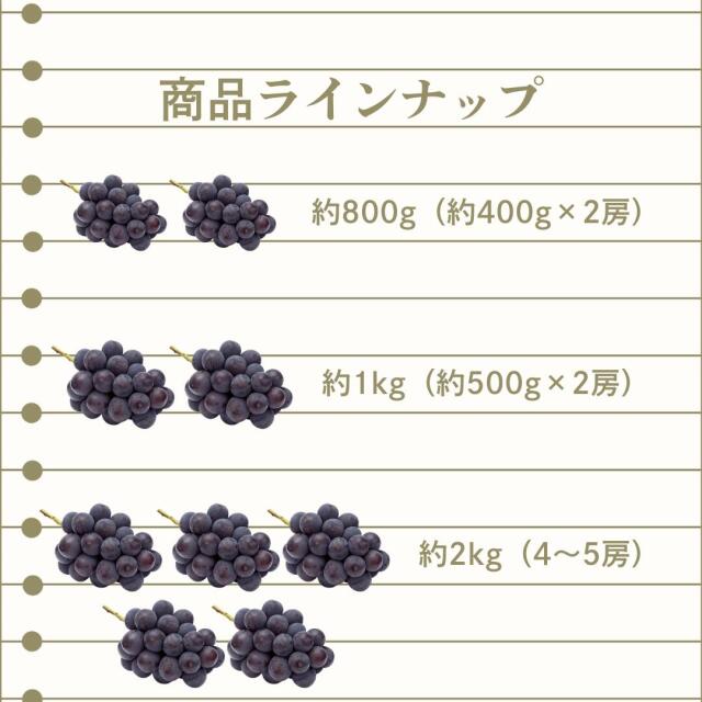 岡山産ピオーネ