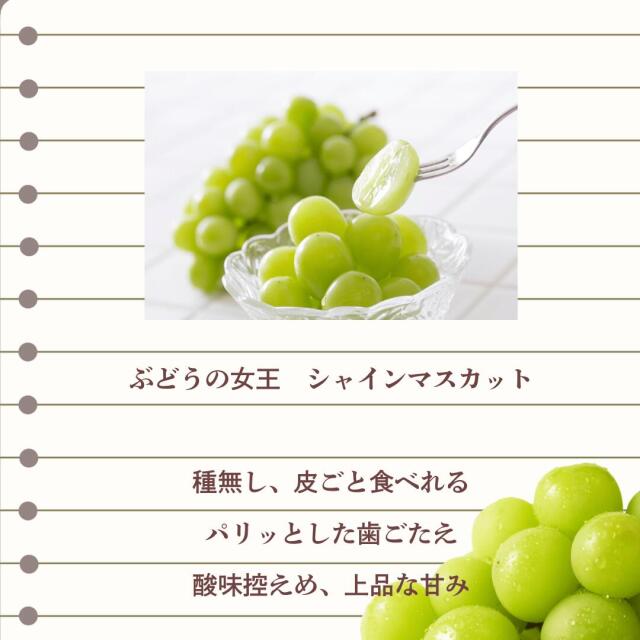 岡山産白桃・シャイン