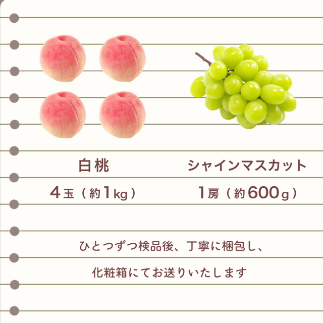 岡山産白桃・シャイン