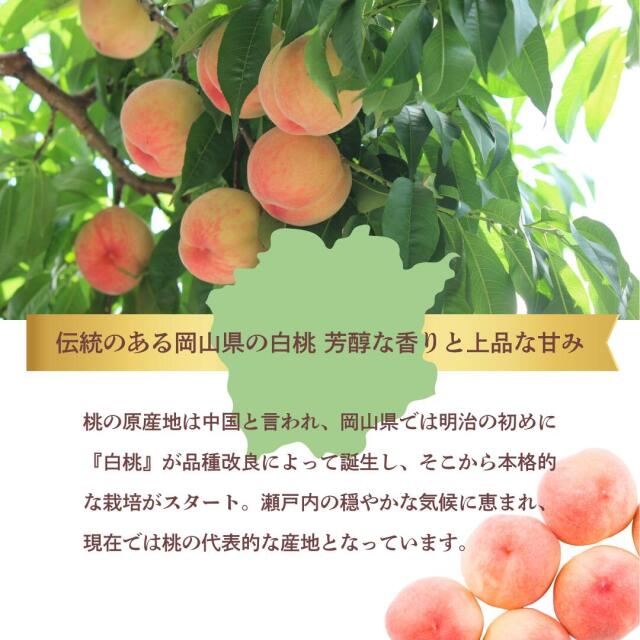 岡山産白桃・シャイン