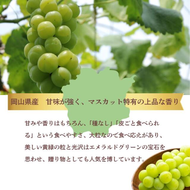 岡山産白桃・シャイン