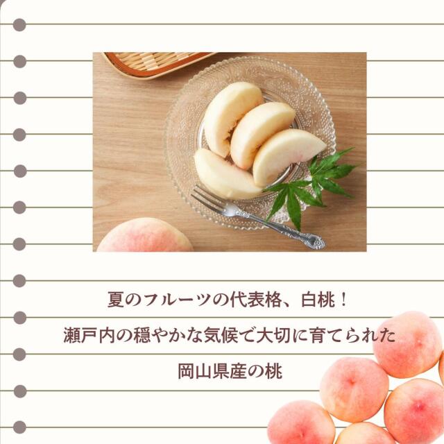 岡山産白桃・シャイン