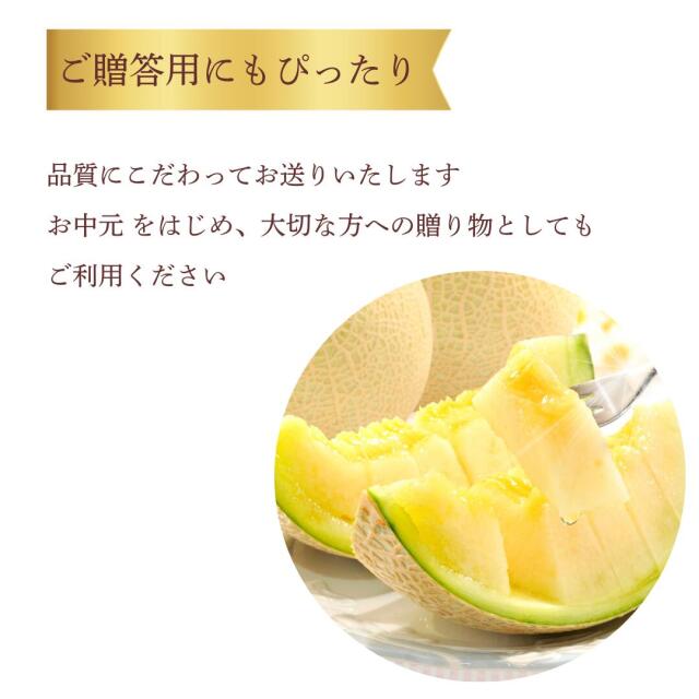 糖度14度以上の厳選された茨城県旭村産の青肉メロン出荷中！