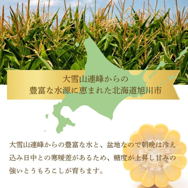 平田農場のとうもろこし