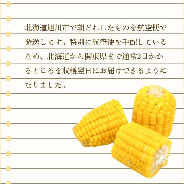 平田農場のとうもろこし
