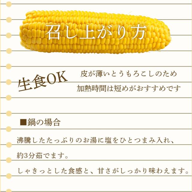 平田農場のとうもろこし