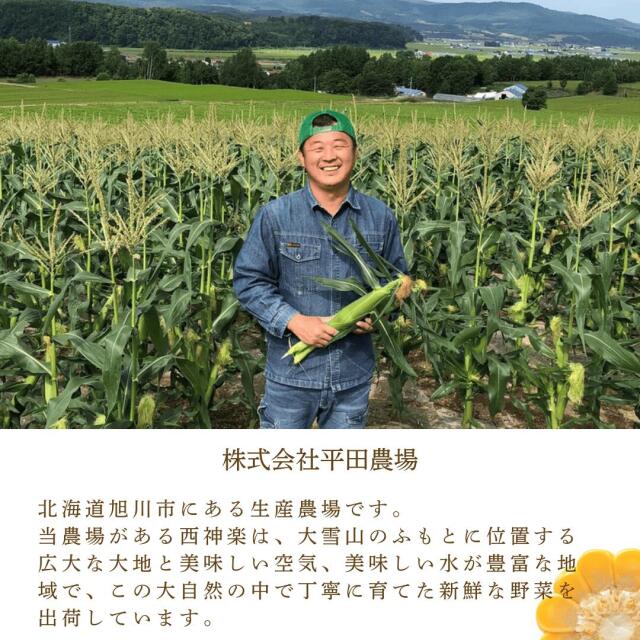 平田農場のとうもろこし