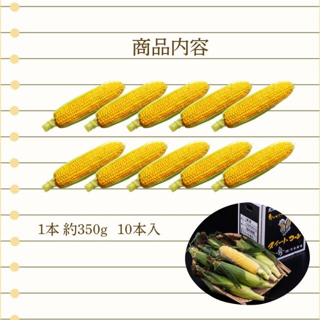 平田農場のとうもろこし