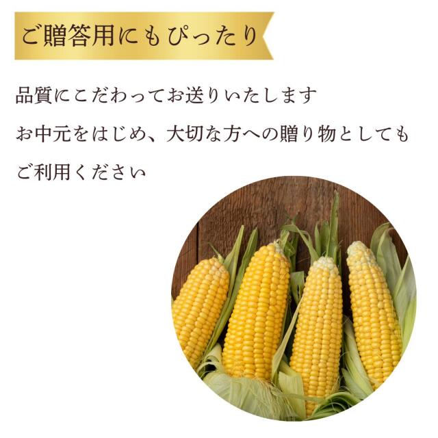 平田農場のとうもろこし