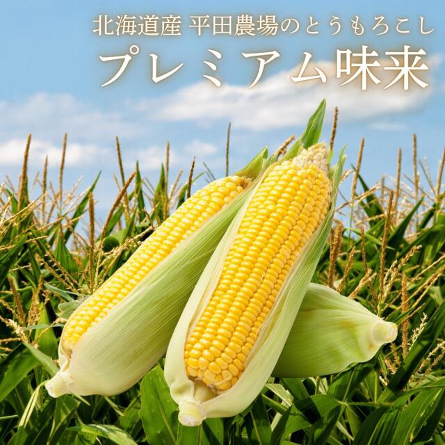 平田農場のとうもろこし