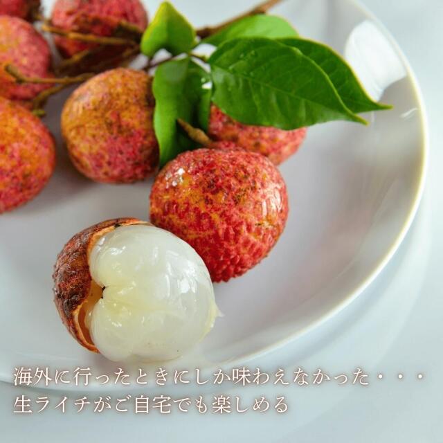 台湾産ライチ
