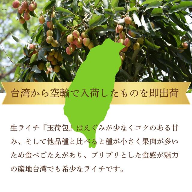 台湾産ライチ