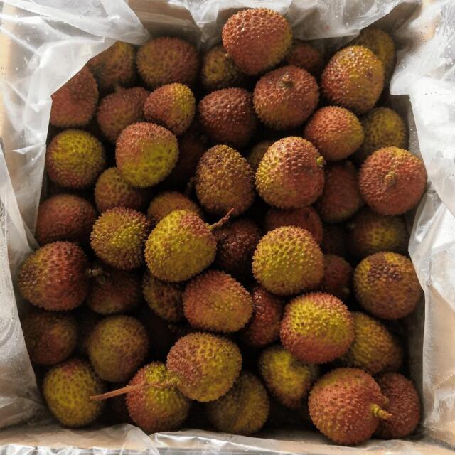 台湾産ライチ