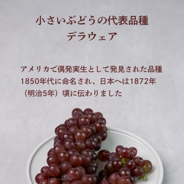 デラウェア