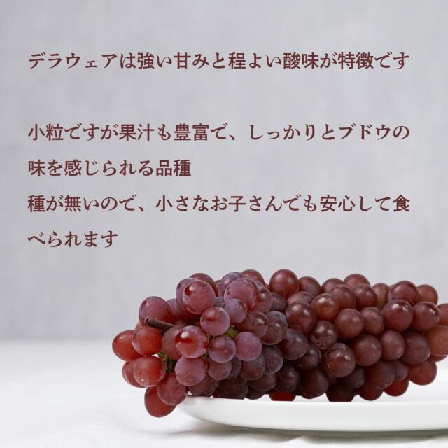 デラウェア