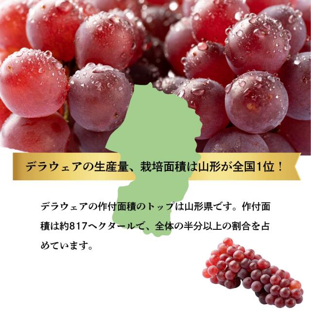 デラウェア