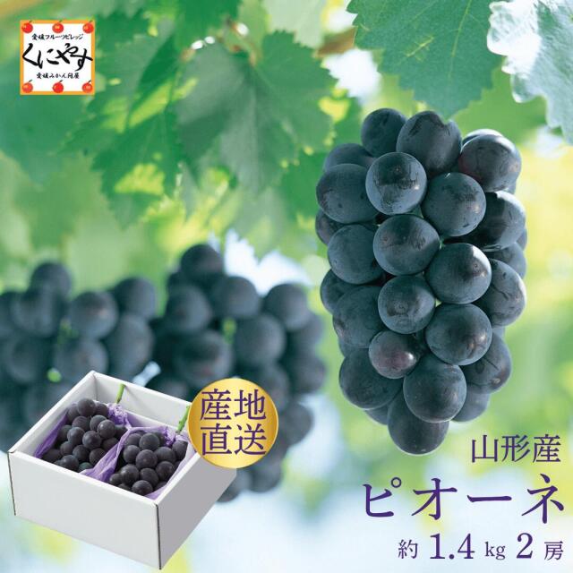 山形産ピオーネ