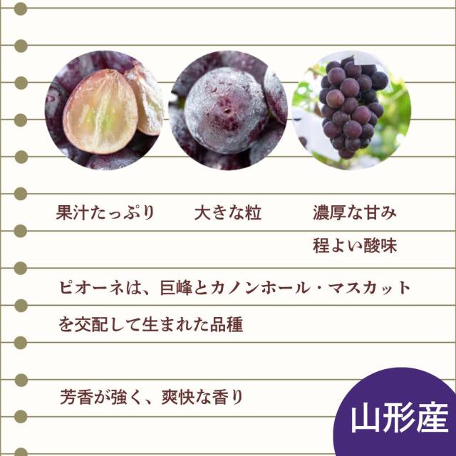山形産ピオーネ