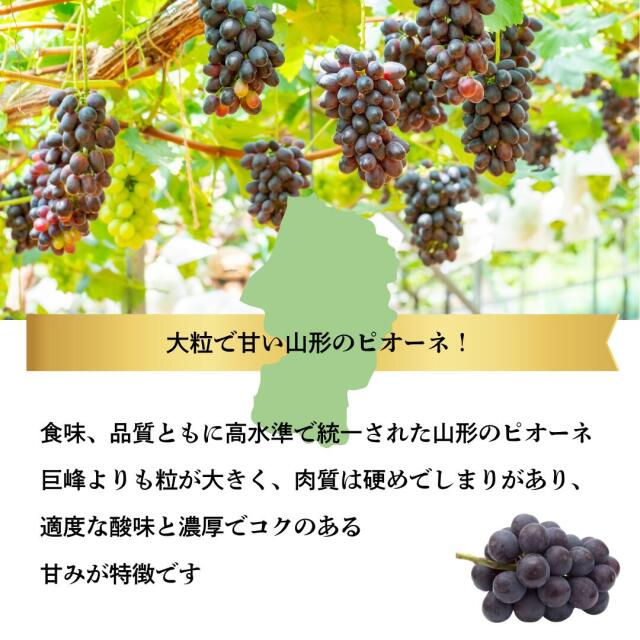 山形産ピオーネ