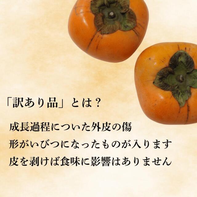 種がなく食べやすい！愛媛県西宇和産のひらたねなし柿は訳あり品がお得
