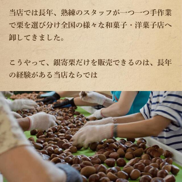 栗の王様とも呼ばれる銀寄栗を愛媛県から産地直送でお届け【1kg】