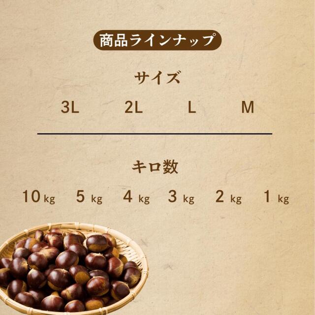 いずみん様　生栗10キロ　③ いずみん様 生栗10キロ ③ いずみん様 生栗 10キロ②