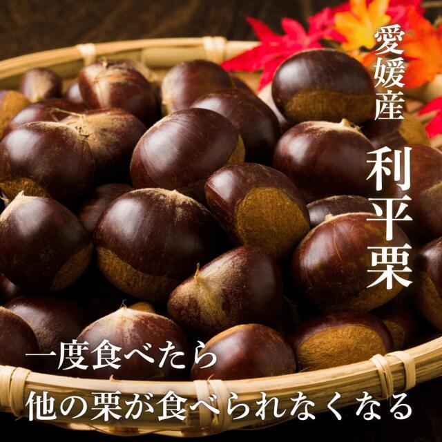 独特な甘みが特徴の利平栗を栗の一大産地・愛媛県より産地直送【3kg】