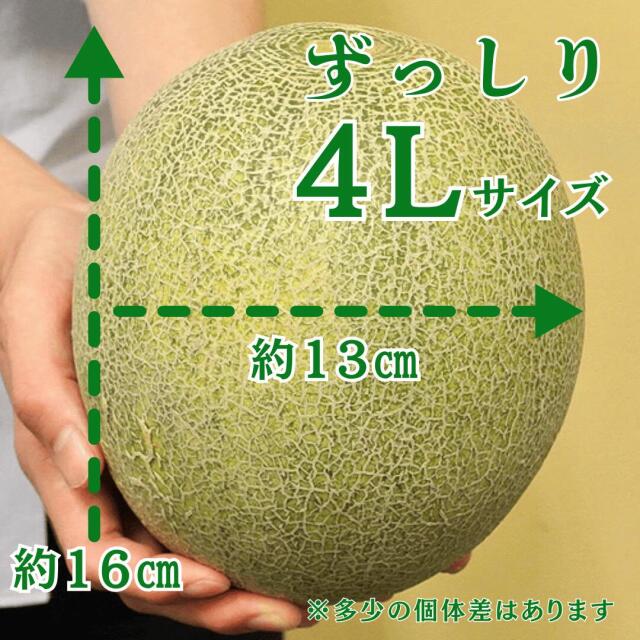 貴味メロン