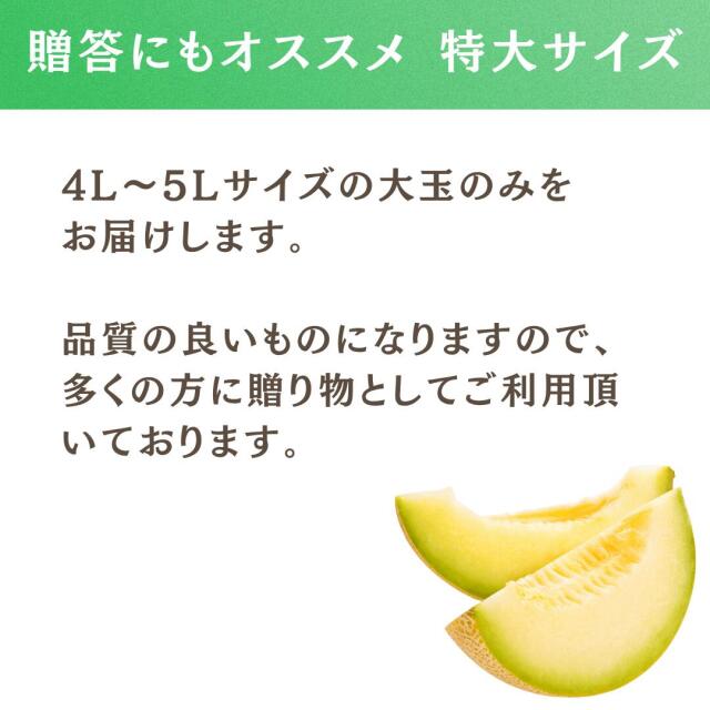 貴味メロン