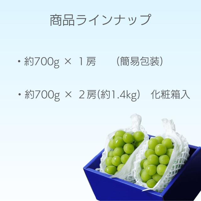 ぶどうの生産量日本一の山梨県産！大房のシャインマスカットが新登場