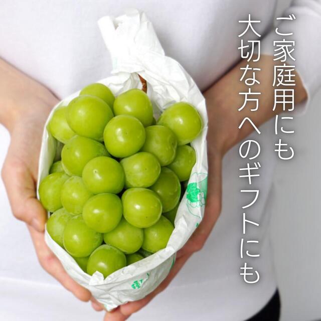 山梨産シャインマスカット