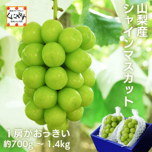 山梨産シャインマスカット