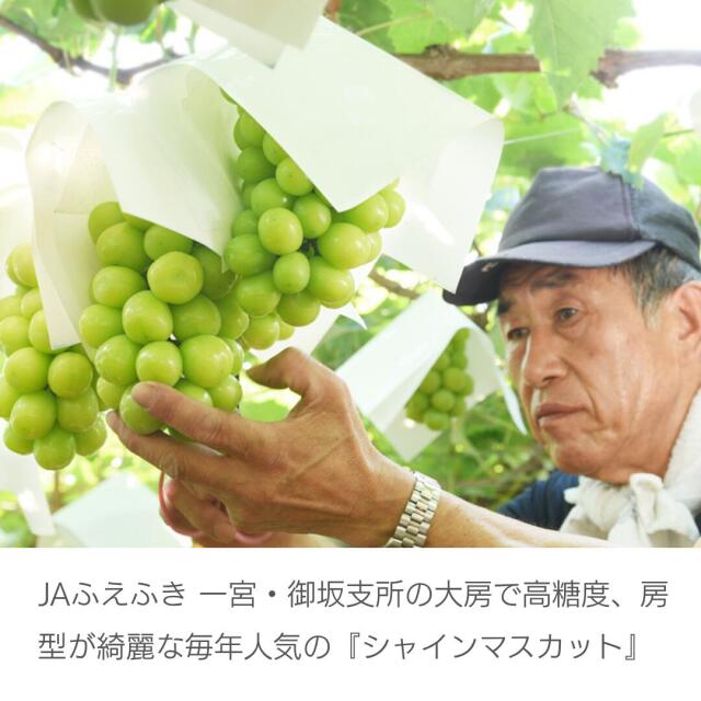山梨産シャインマスカット