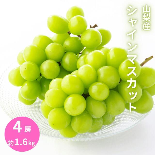 ぶどうの一大産地である山梨県のシャインマスカット発送中